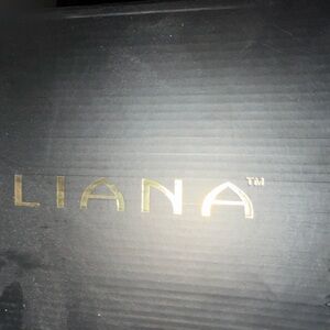 Liliana Elegant Black and Clear Heels